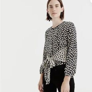 J Crew Silk Tie Front Blouse (8)